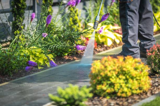 Best Spring Cleaning  in Island Heights, NJ