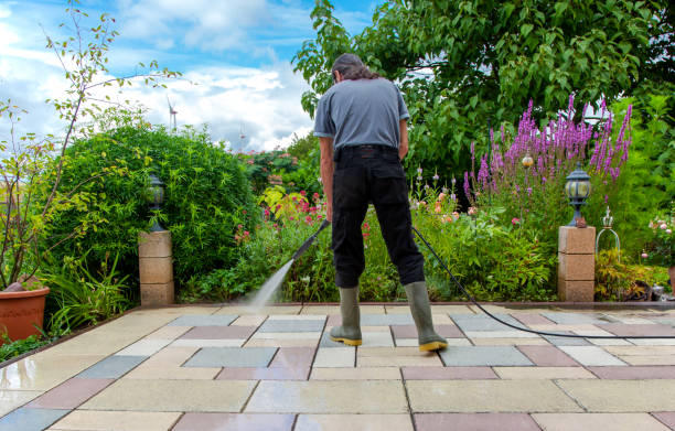 Best Winterizing Services  in Island Heights, NJ